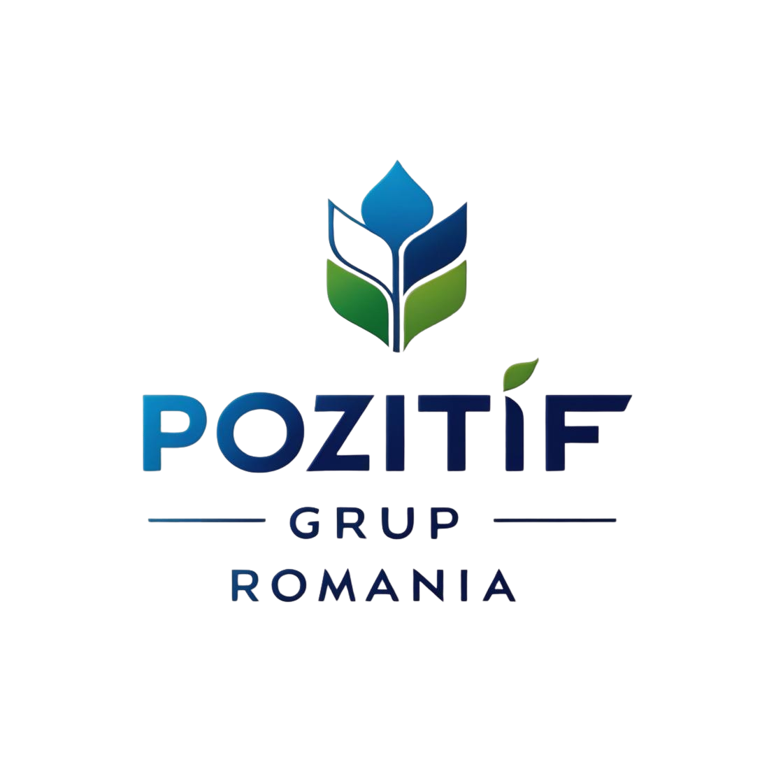 Pozitif Grup Romania